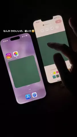 ぽん太のTikTok投稿