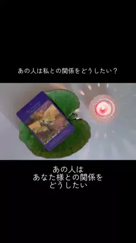 スピリットハーモニーのTikTok投稿