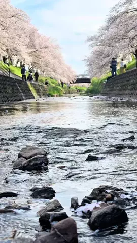 大阪のさやちんのTikTok投稿