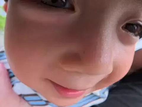 ほいっぷくんのTikTok投稿