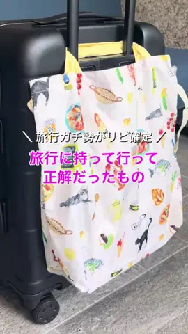 いちご🍓旅好き女子のTikTok投稿