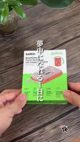 きっしーのTikTok投稿