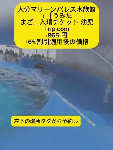 おめでとうのTikTok投稿