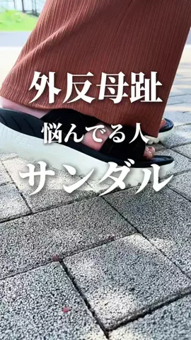 ヤギのあれこれのTikTok投稿