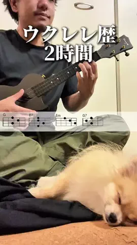ヤギのあれこれのTikTok投稿