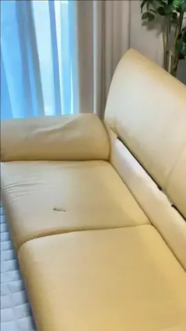 ヤギのあれこれのTikTok投稿
