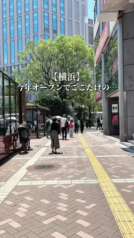 やま|横浜リピートグルメのTikTok投稿