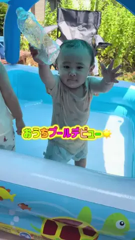 とっちゃま🐧🩵のTikTok投稿