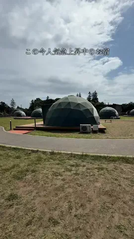 アミノ家のTikTok投稿