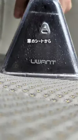 はゆのTikTok投稿