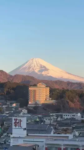 RayのTikTok投稿