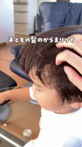ピジョン【公式】のTikTok投稿