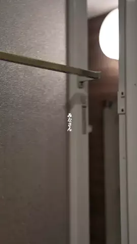 しゅう@コスメ日記のTikTok投稿