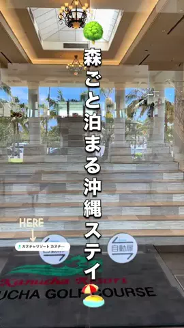 cyazukeのTikTok投稿