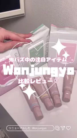 ほぴんごのTikTok投稿