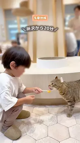 あや🍑埼玉西部発▶︎子連れおでかけのTikTok投稿