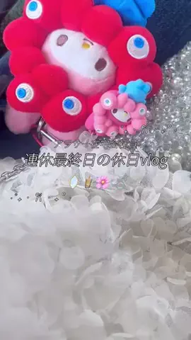ほぴんごのTikTok投稿