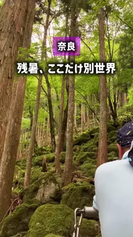 ぼぶ｜関西おでかけ＆ホテル案内係のTikTok投稿
