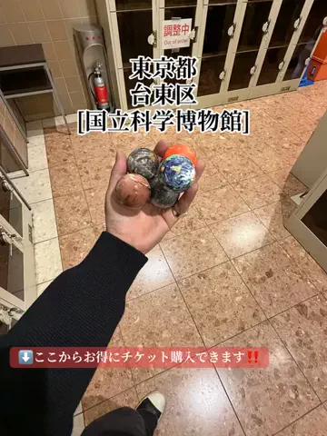 旅好きんに君のTikTok投稿
