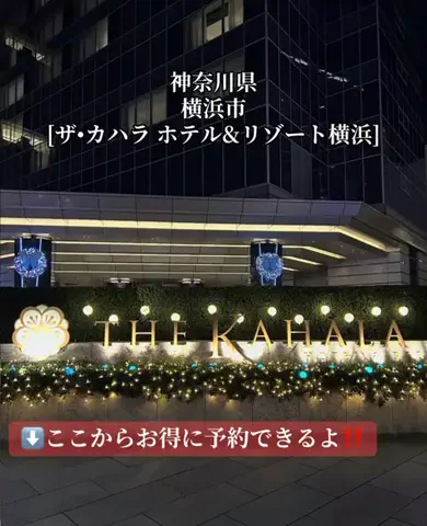 旅好きんに君のTikTok投稿