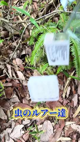 つりたろう🐸のTikTok投稿