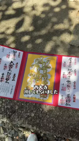みやも人形のTikTok投稿