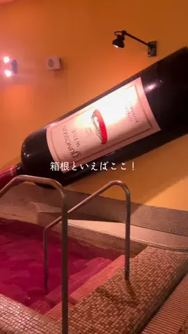 サウナ好きカップルの日常のTikTok投稿