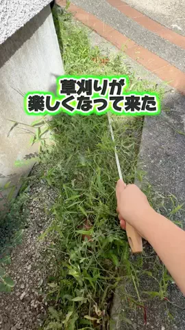 みやも人形のTikTok投稿