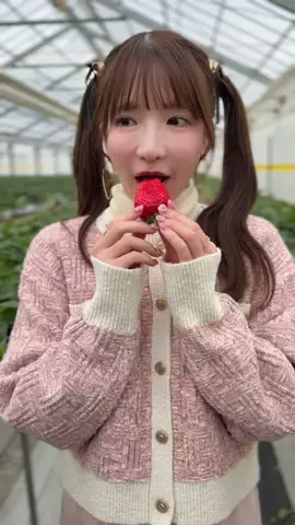 もえあずのTikTok投稿