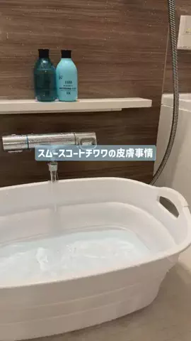 ライラとテオのTikTok投稿