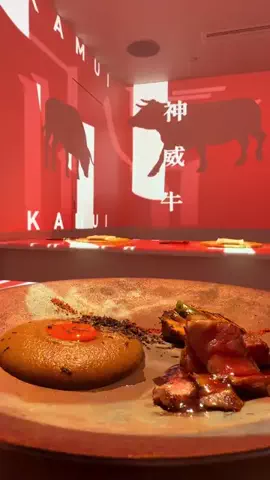 浅草ゆきのTikTok PR投稿：銀座で、和牛割烹が“晩餐劇”になる🥩✨ 自社生産の黒…