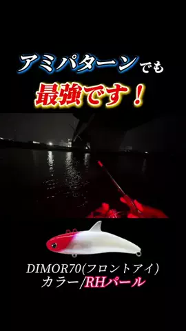 釣りユーキの日常(笹倉悠暉)のTikTok投稿