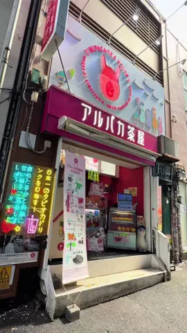 浅草ゆきのTikTok投稿