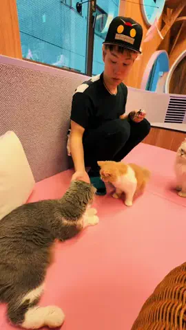 浅草ゆきのTikTok投稿