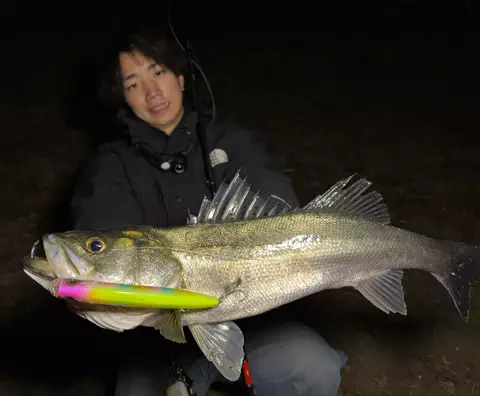 釣りユーキの日常(笹倉悠暉)のTikTok投稿