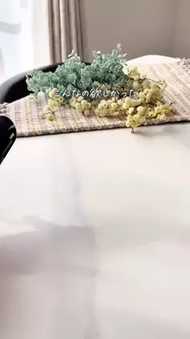 まりこのTikTok投稿