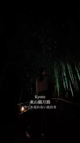 みっけ｜アラサーが巡る京都グルメ・観光のTikTok投稿