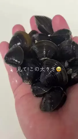 🎀sakiのバズログ🎀のTikTok投稿