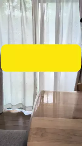 めろめろパパのTikTok投稿