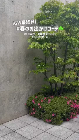 muuのTikTok投稿