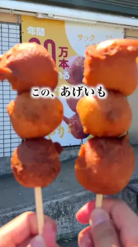 旅と北海道｜ROYのTikTok投稿
