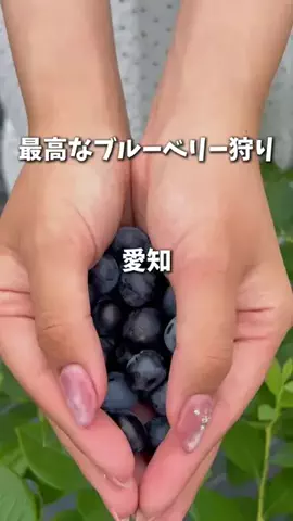 せなたび｜愛知・名古屋発の東海カップルデートのTikTok投稿