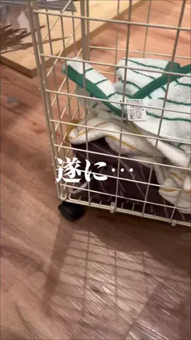 うららのTikTok投稿