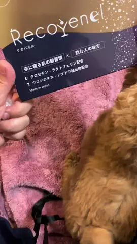 マルプーちゃちゃ🧸おかいものログ🛒のTikTok投稿