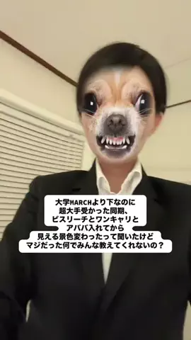 こまち┊︎学チカ0から大手内定‼️のTikTok投稿