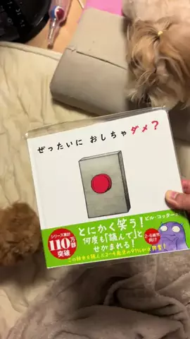 マルプーちゃちゃ🧸おかいものログ🛒のTikTok投稿
