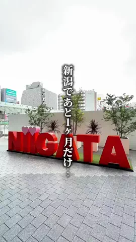 上司と部下@新潟グルメのTikTok投稿
