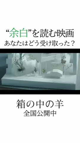余韻シネマのTikTok投稿