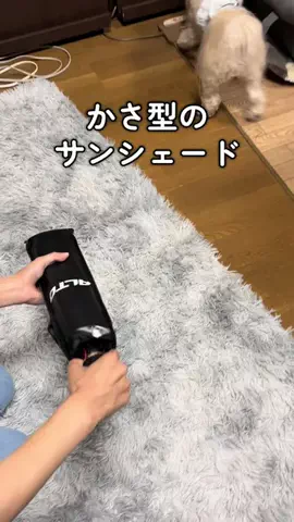 マルプーちゃちゃ🧸おかいものログ🛒のTikTok投稿
