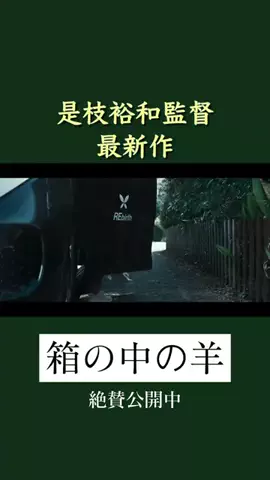 余韻シネマのTikTok投稿